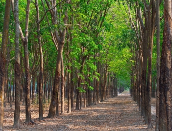 Kiến thức